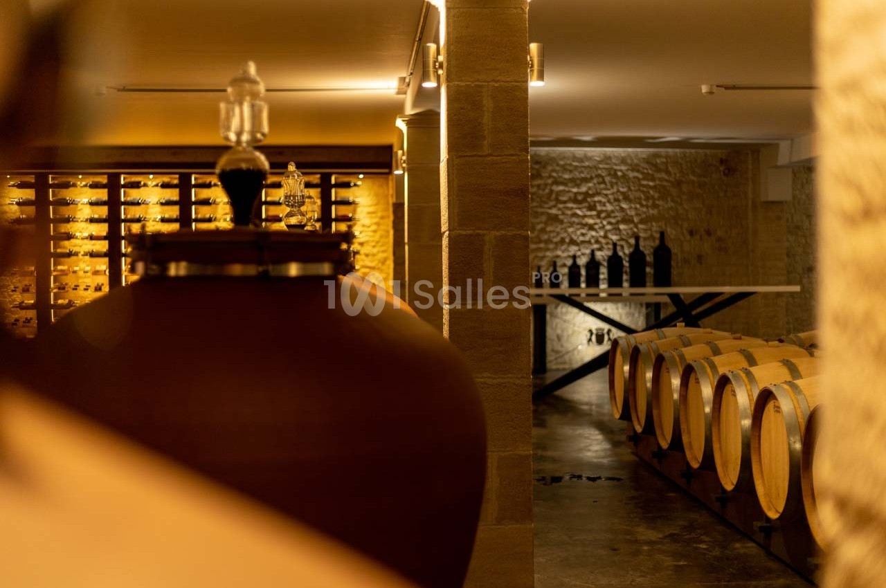 Château la Tilleraie - galerie - photo 45