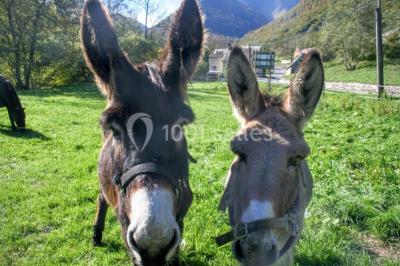 Miniature Location salle Bagnères-de-Bigorre (Hautes-Pyrénées) - Domaine De Ramonjuan 65 #16 Location salle Bagnères-de-Bigorre (Hautes-Pyrénées) - Domaine De Ramonjuan 65 #16