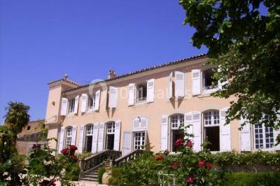 Château Saint Jean de Plats - photo 1