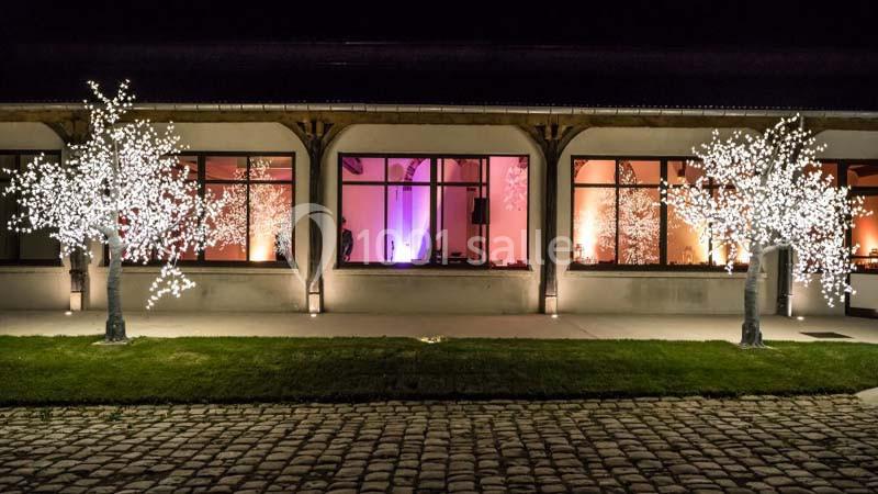 Façade d'un bâtiment éclairé de nuit avec des arbres lumineux décoratifs et des pavés au premier plan.