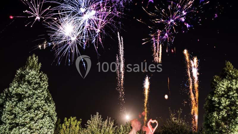 Feu d'artifice coloré illuminant le ciel nocturne au-dessus d'arbres et d'un paysage sombre.