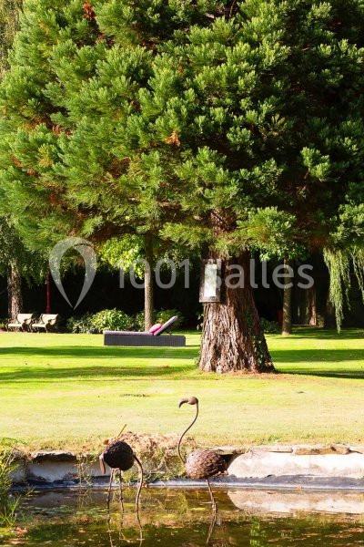 Le Domaine de Géline - galerie - photo 8
