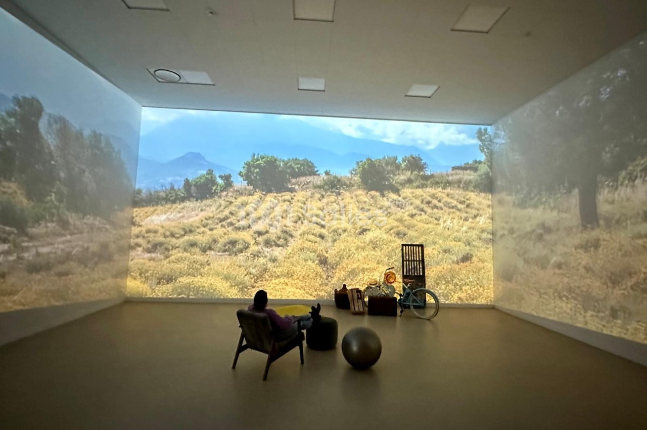 Projection immersive d'un paysage rural avec champs et montagnes, une personne assise dans une pièce sombre.