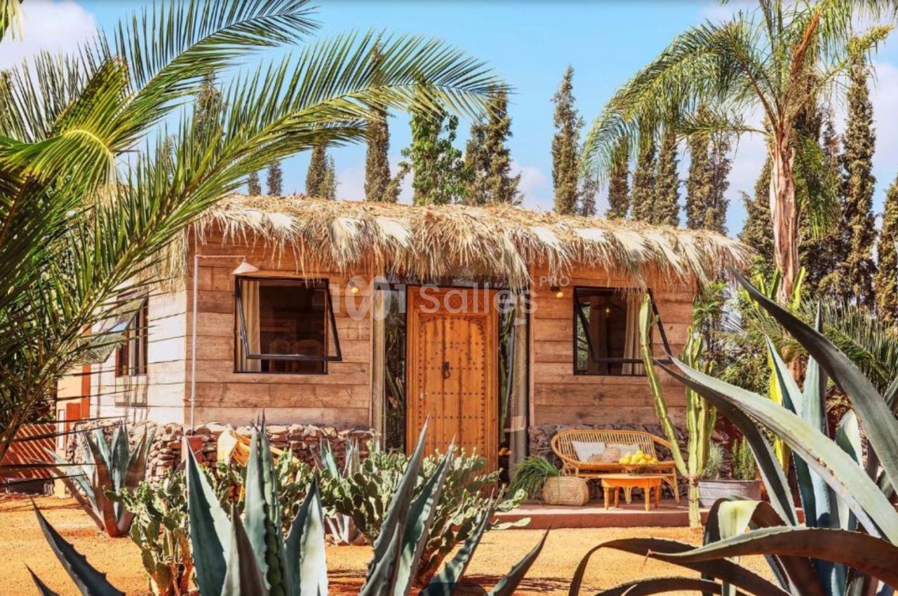 Petite maison en bois avec toit en chaume, entourée de plantes exotiques et de cactus sous un ciel dégagé.