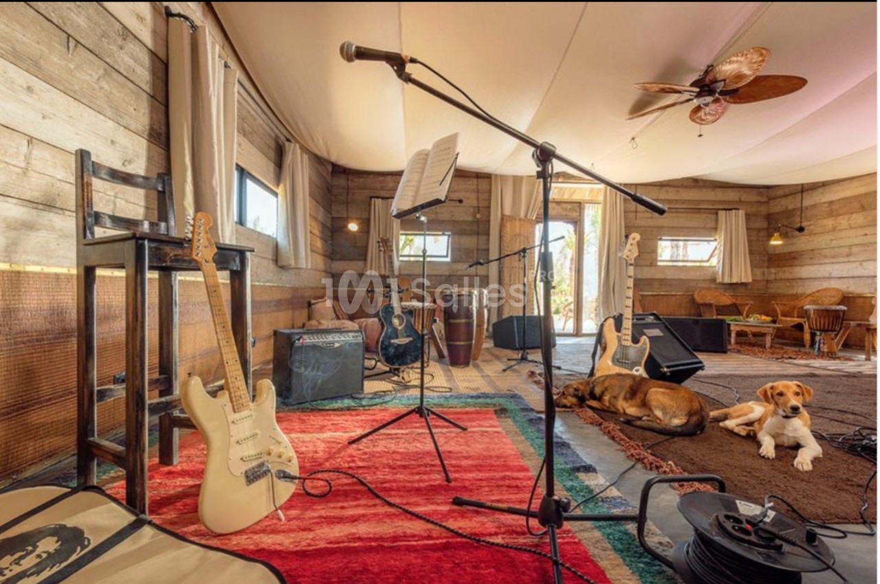 Salle de musique avec guitares, amplificateurs, micro sur pied, tapis colorés et deux chiens allongés au sol.