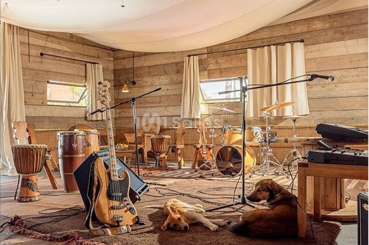 Salle de musique avec instruments, tapis, rideaux clairs, deux chiens allongés au sol et lumière naturelle.