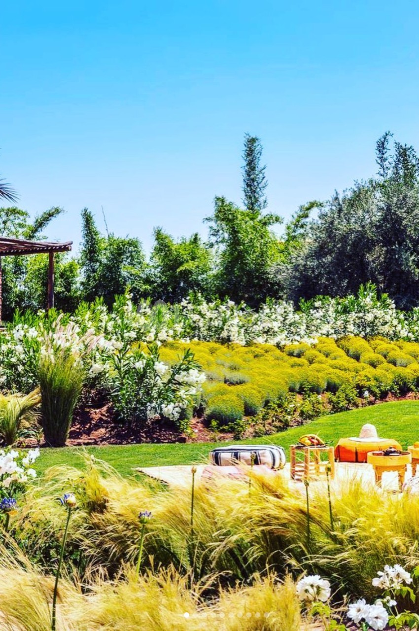 Jardin luxuriant avec plantes colorées, coussins et table basse sur pelouse, sous un ciel bleu clair.