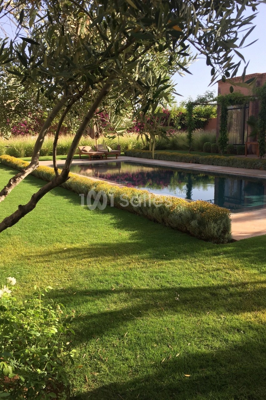 Jardin verdoyant avec piscine rectangulaire entourée de haies fleuries, sous un ciel dégagé.