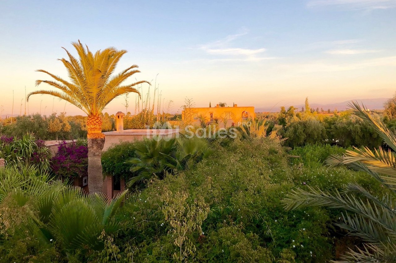 Vue d'un jardin luxuriant avec des palmiers et des bâtiments en terre cuite sous un ciel au coucher du soleil.