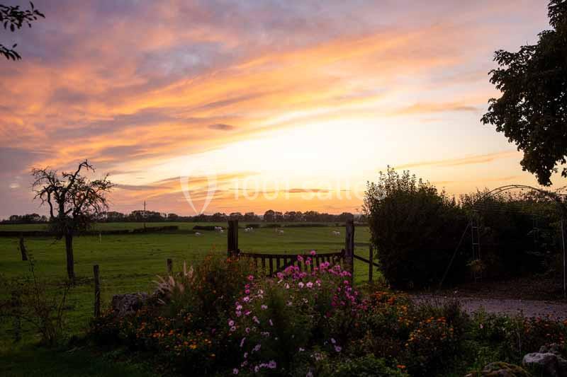 Location salle Maligny (Côte-d'Or) - Domaine du Grand Nanteux #15 Coucher de soleil sur un jardin fleuri avec une clôture en bois, des arbres et un champ en arrière-plan.