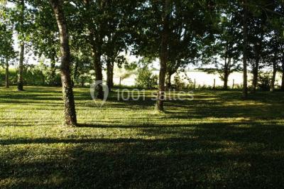 Miniature Location salle Maligny (Côte-d'Or) - Domaine du Grand Nanteux #27 Tables décorées pour un événement avec chandeliers, compositions florales suspendues et lumière tamisée.