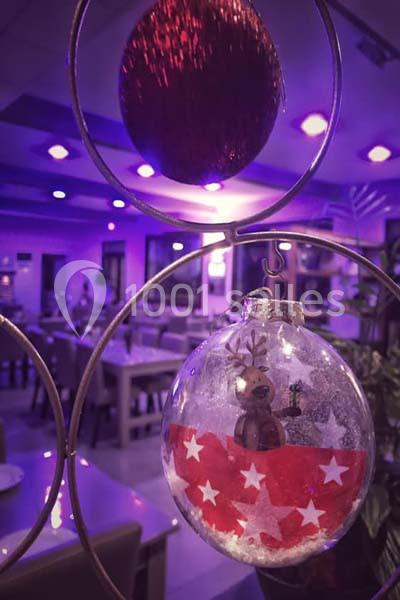 Location salle Entraigues-sur-la-Sorgue (Vaucluse) - La Maison de Sylvanie #14