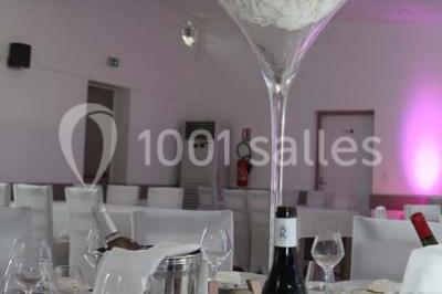 Location salle Entraigues-sur-la-Sorgue (Vaucluse) - La Maison de Sylvanie #24