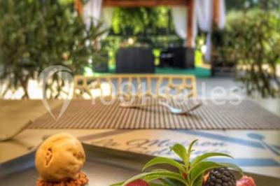 Location salle Entraigues-sur-la-Sorgue (Vaucluse) - La Maison de Sylvanie #24