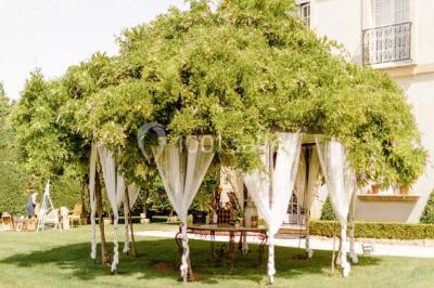 Miniature Location salle Lançon-Provence (Bouches-du-Rhône) - La Bastide d'Astres #12 Vue d'une terrasse avec parasols et piscine, encadrée par des haies sombres et un ciel dégagé en arrière-plan.