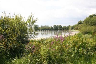 Domaine de la Barre - photo 3
