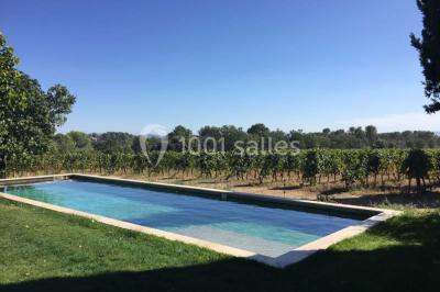 Le Mas Des Vignes - photo 3