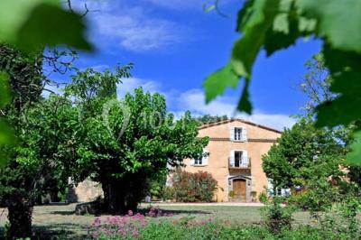 Le Mas Des Vignes - photo 2