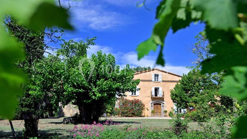 Le Mas Des Vignes - galerie - photo 2