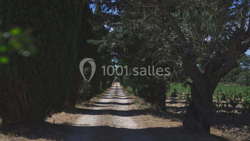 Le Mas Des Vignes - galerie - photo 7