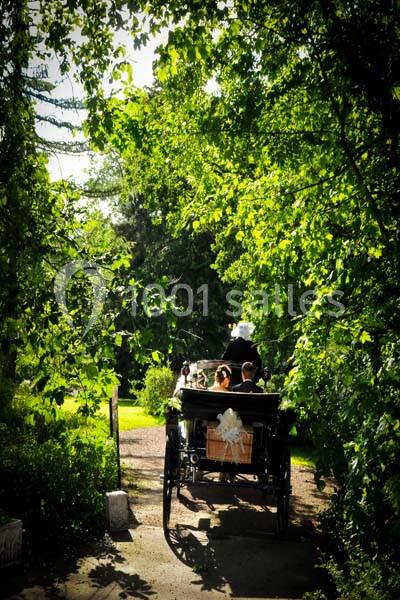Location salle Quaëdypre (Nord) - L'ermitage Du Bois Joli #17