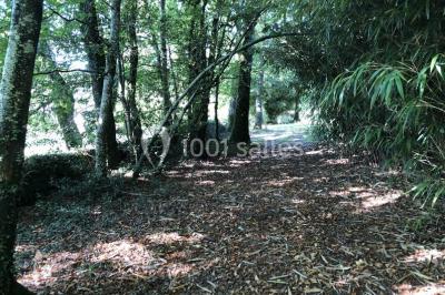 Miniature Location salle Landévant (Morbihan) - Château de Lannouan #18 Location salle Landévant (Morbihan) - Château de Lannouan #26