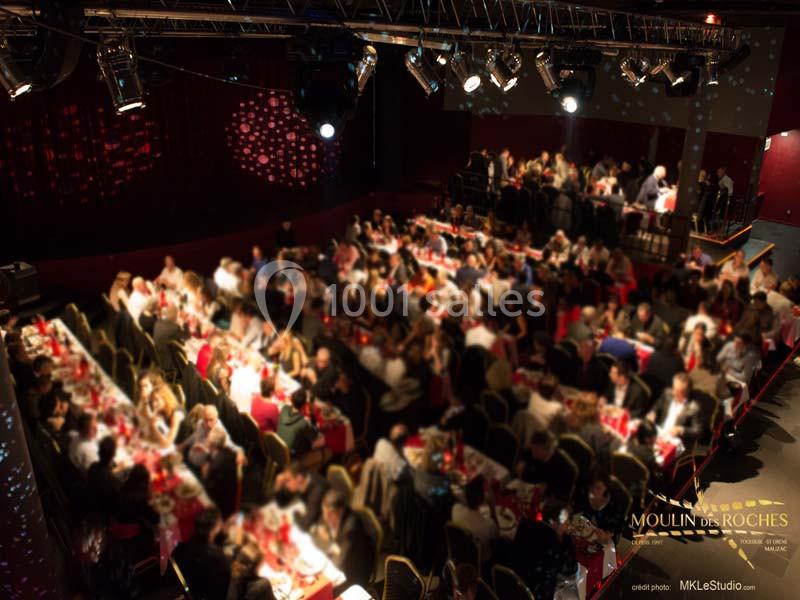 Moulin Des Roches - galerie - photo 3