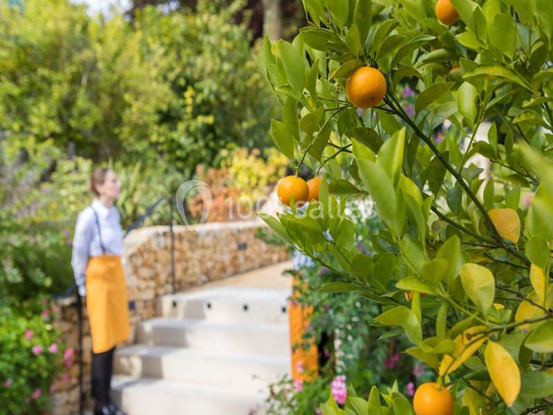Le Manoir De Verzy - galerie - photo 4