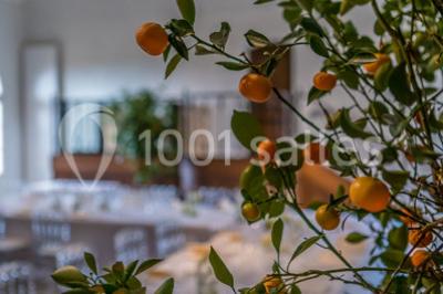 Le Manoir De Verzy - photo 5