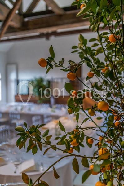 Le Manoir De Verzy - galerie - photo 5