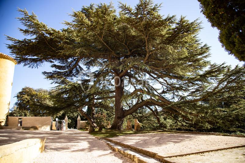 Location salle Aix-en-Provence (Bouches-du-Rhône) - Château du Seuil #21 Location salle Aix-en-Provence (Bouches-du-Rhône) - Château du Seuil #21