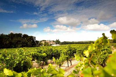 Miniature Location salle Aix-en-Provence (Bouches-du-Rhône) - Château du Seuil #22 Location salle Aix-en-Provence (Bouches-du-Rhône) - Château du Seuil #43
