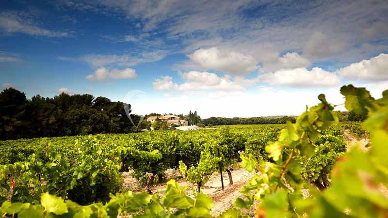 Location salle Aix-en-Provence (Bouches-du-Rhône) - Château du Seuil #22 Location salle Aix-en-Provence (Bouches-du-Rhône) - Château du Seuil #22