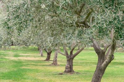 Miniature Location salle Aix-en-Provence (Bouches-du-Rhône) - Château du Seuil #29 Location salle Aix-en-Provence (Bouches-du-Rhône) - Château du Seuil #43