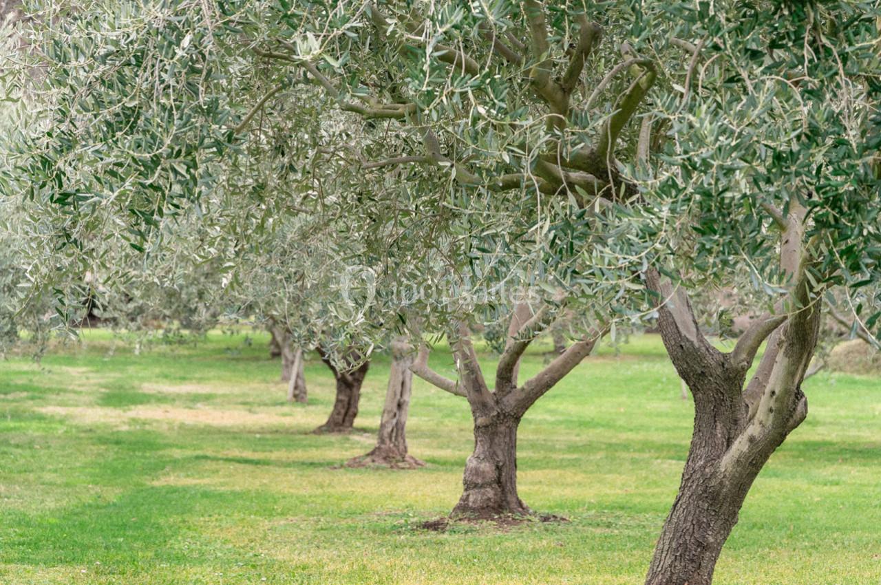 Location salle Aix-en-Provence (Bouches-du-Rhône) - Château du Seuil #29 Location salle Aix-en-Provence (Bouches-du-Rhône) - Château du Seuil #29