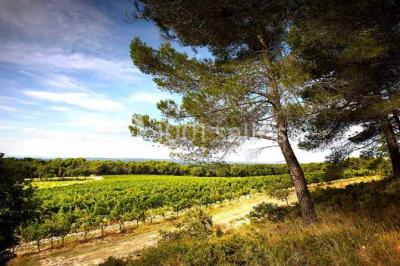 Location salle Aix-en-Provence (Bouches-du-Rhône) - Château du Seuil #18