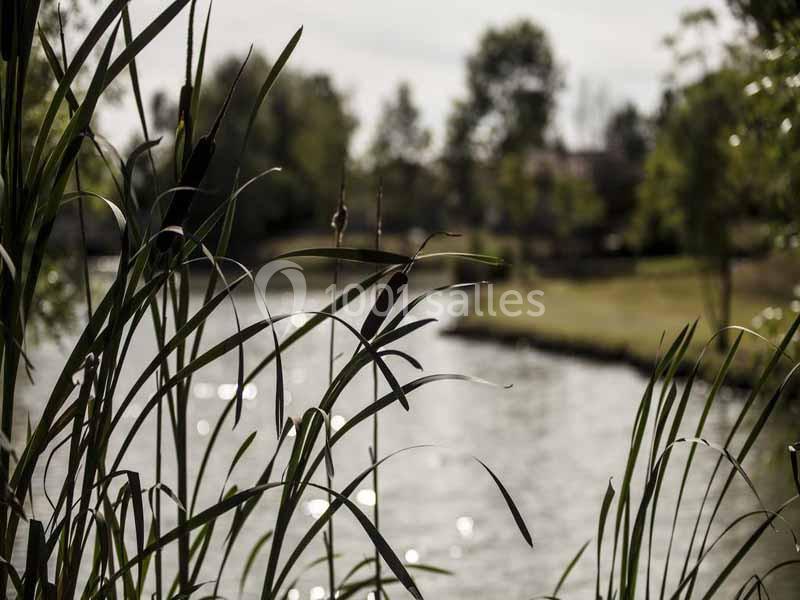 L’Émeraude - galerie - photo 15