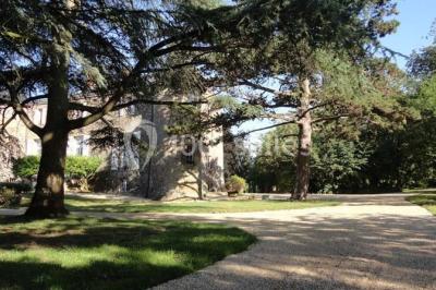 L'orangerie Du Château De La Frogerie - photo 5
