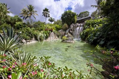 Jardin Botanique De Deshaies - photo 1