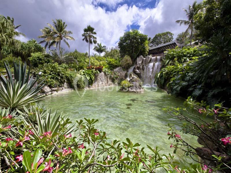 Jardin Botanique De Deshaies - galerie - photo 1