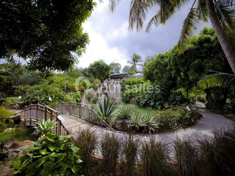 Jardin Botanique De Deshaies - galerie - photo 3