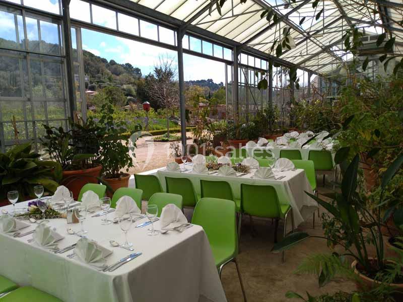 Les Jardins du Musée International de la Parfumerie Jmip - Mouans ...