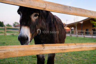 Miniature Location salle Boisset-lès-Montrond (Loire) - La Ferme Aux Trois Granges #17 Location salle Boisset-lès-Montrond (Loire) - La Ferme Aux Trois Granges #19
