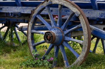 Miniature Location salle Boisset-lès-Montrond (Loire) - La Ferme Aux Trois Granges #18 Location salle Boisset-lès-Montrond (Loire) - La Ferme Aux Trois Granges #19