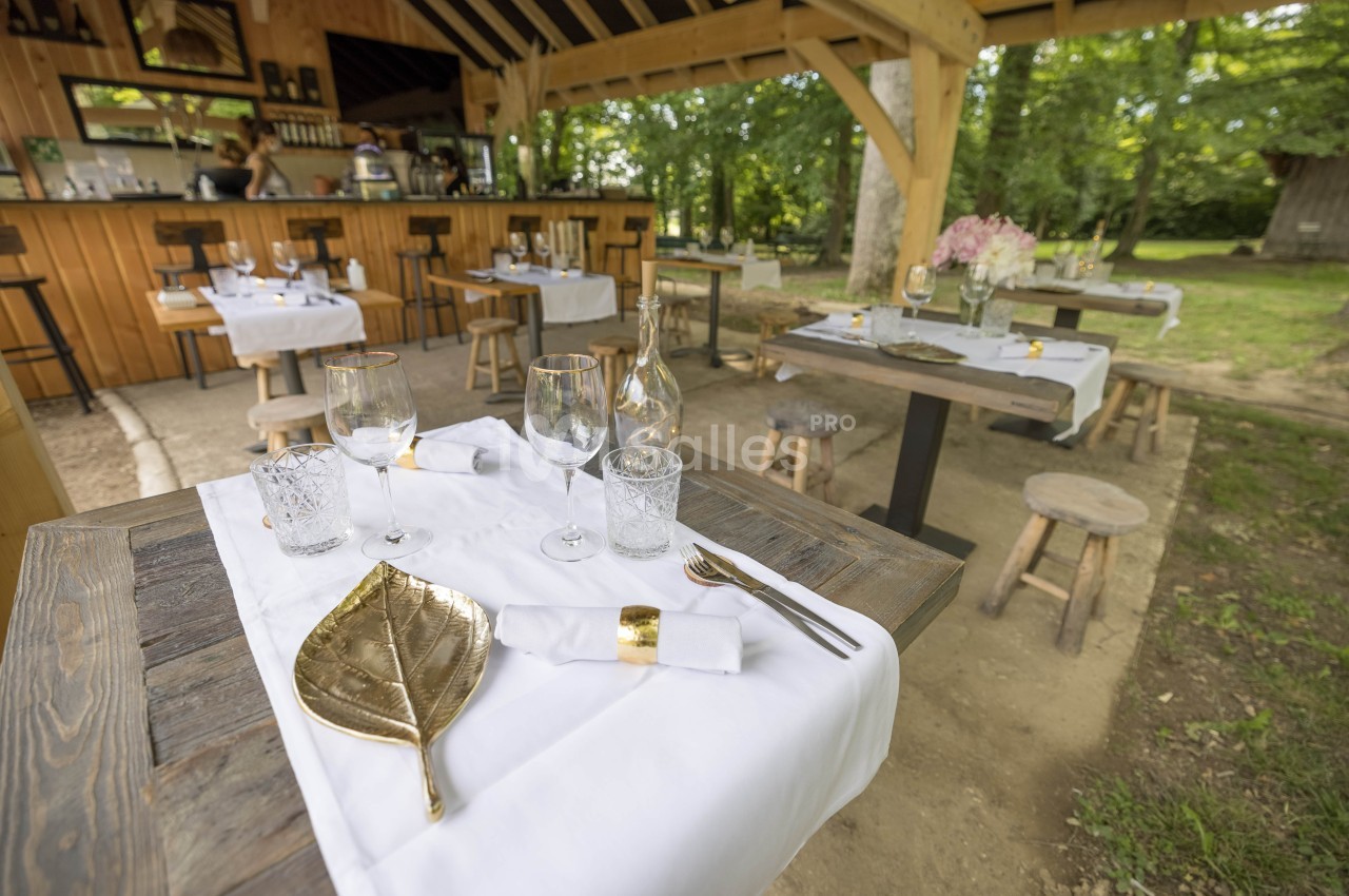 Tables dressées avec élégance dans un espace extérieur boisé, avec nappes blanches et décorations dorées.