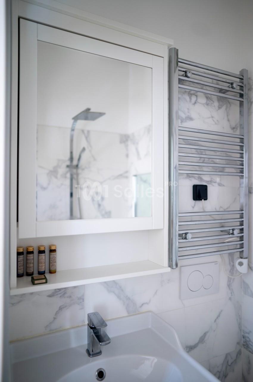 Meuble de salle de bain avec miroir, lavabo, étagère contenant des flacons, et douche visible en arrière-plan.