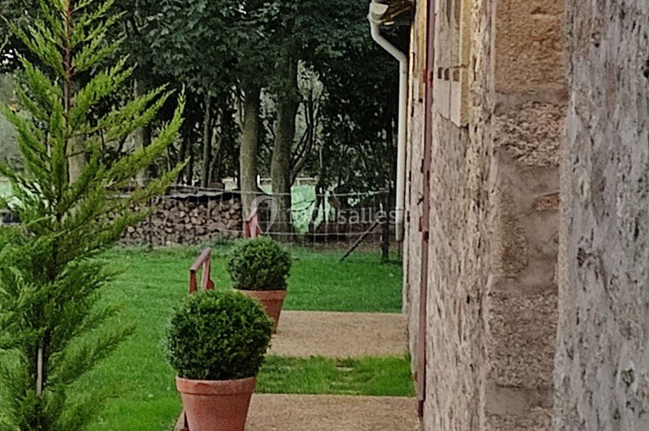 Allée bordée de buis en pots et d'un mur en pierre, avec pelouse et arbres en arrière-plan.