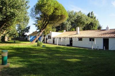 Un jardin verdoyant avec pelouse, arbres, arbustes et une charrette ancienne près d'un abri en bois.