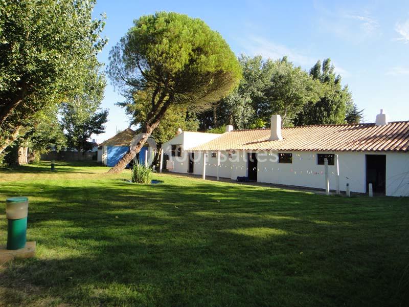 Maison blanche avec toit en tuiles entourée d'arbres et d'une pelouse verte sous un ciel dégagé.