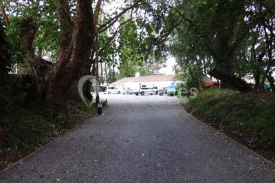 Un jardin verdoyant avec pelouse, arbres, arbustes et une charrette ancienne près d'un abri en bois.